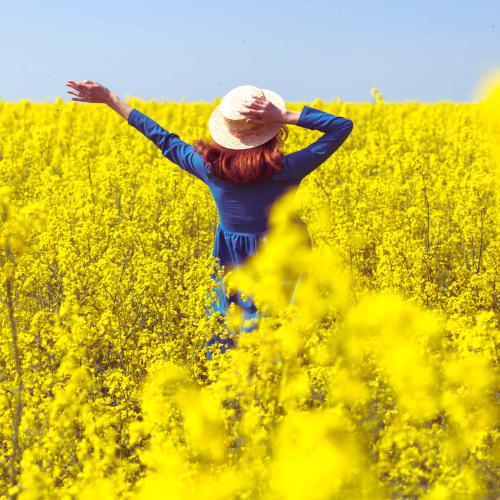 WA Canola Farmers Want You To Stay Out Of Their Crops (But There's One You're Welcome In!)