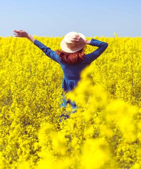 WA Canola Farmers Want You To Stay Out Of Their Crops (But There's One You're Welcome In!)