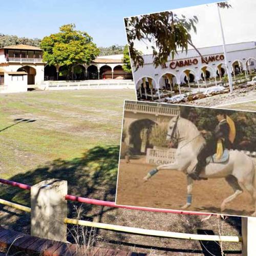Remember El Caballo Blanco? You Can Now Own It