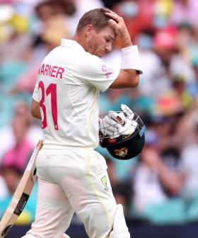 'But He's A Cheat': David Warner Attempts To Get Lifetime Ban Overturned