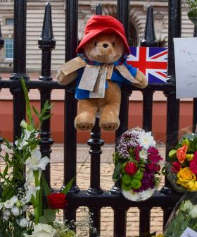 Here's What Will Happen To All The Queen's Paddington Bears