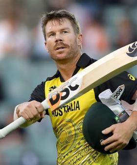 Warner Should Be Next T20 Captain: Watson