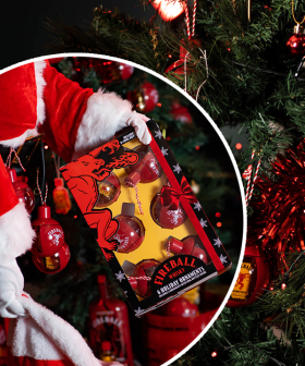 Spice Up Your Christmas Tree With Fireball Whisky!