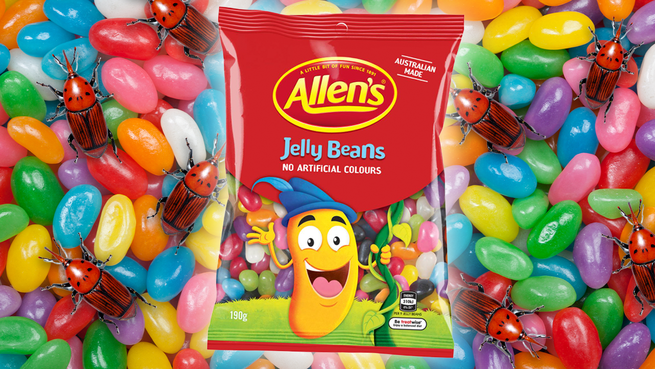 There’s No Bugs In Allen’s Jelly Beans Anymore. Yes. Bugs.