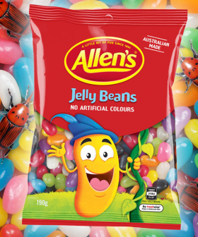 There’s No Bugs In Allen’s Jelly Beans Anymore. Yes. Bugs.