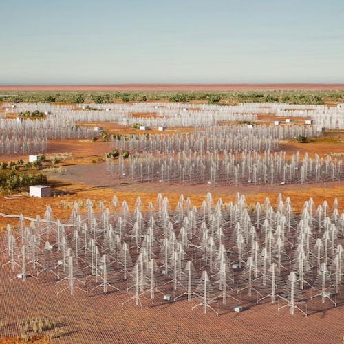 Why There's THOUSANDS Of Wire 'Christmas Trees' In The Middle Of The WA Outback