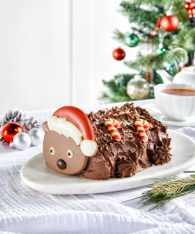 Woolies Launch Adorable New 'Wally The Wombat' Christmas Dessert