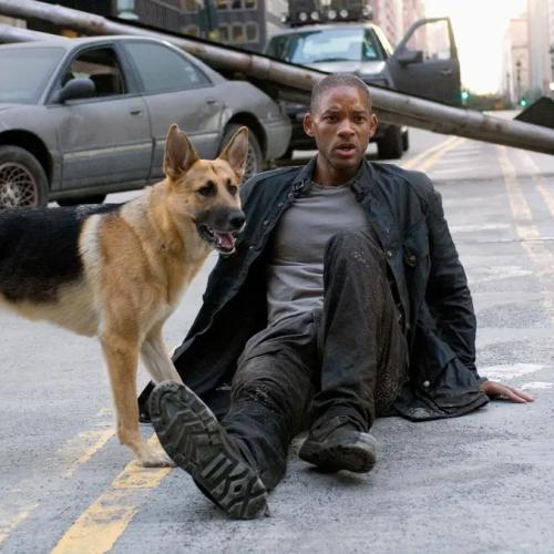 'The Script Just Came In': Will Smith Confirms 'I Am Legend' Sequel