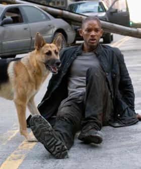 'The Script Just Came In': Will Smith Confirms 'I Am Legend' Sequel