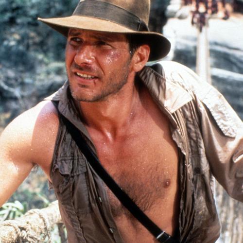 Harrison Ford Gets Standing Ovation At New Indiana Jones Movie