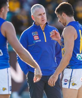 Anna Hay: Sacking Simpson Isn't Going To Bring Back Injury-Hit Players