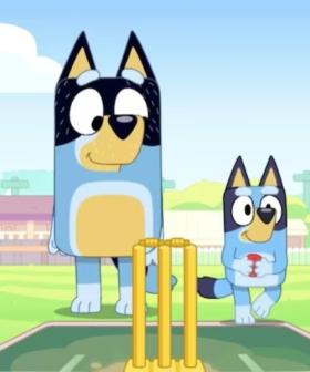 Bluey’s Cricket Episode Leaves Aussies in Tears (& Sure To Confuse Americans)
