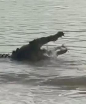 Woman's Shark Catch Gets Snapped Up By Huge Croc Because Straya