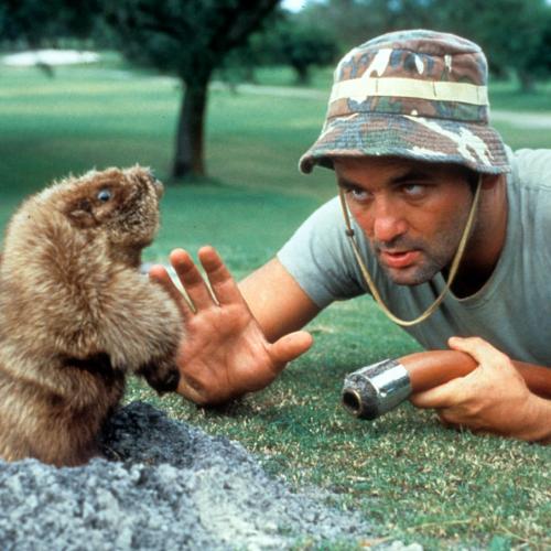 'Caddyshack' Gets A Horror Movie Makeover, Complete With Killer Gophers