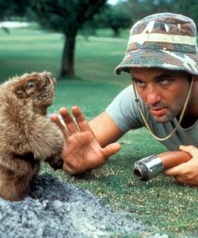 'Caddyshack' Gets A Horror Movie Makeover, Complete With Killer Gophers