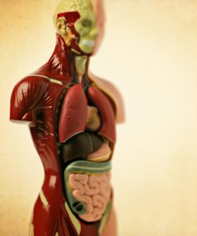 Body Donated To Science Ended Up In The Hands Of The Army & What They Did Was Sick