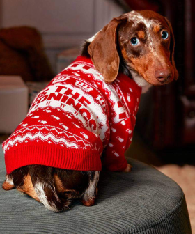 KFC Have Blessed Us (& Our Pets!) With Some Truly Horrendous Ugly Christmas In July Sweaters