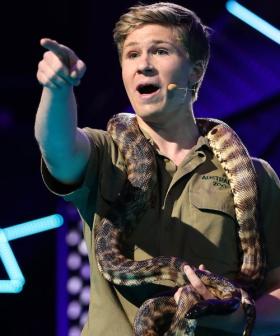 Crikey! Is Robert Irwin About to Leave Australia Zoo... For WA?