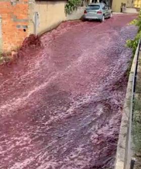 Massive River Of Red Wine Floods Portuguese Town