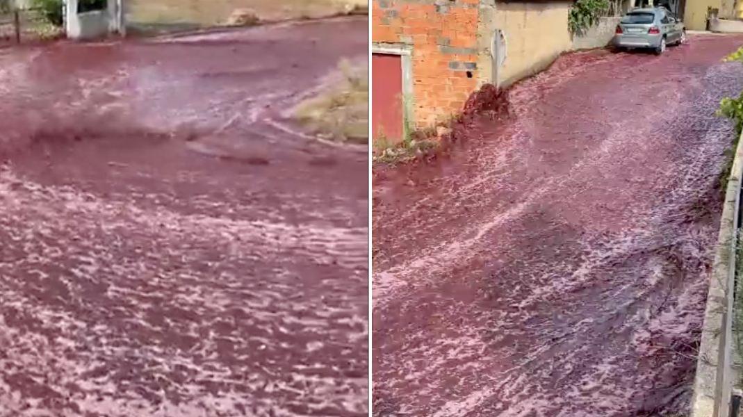 Massive River Of Red Wine Floods Portuguese Town - Vimarsana News