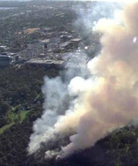 Kings Park Fire: 'There's A Special Place In Hell For Arsonists'