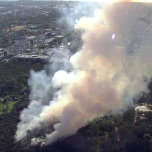 Kings Park Fire: ‘There’s A Special Place In Hell For Arsonists’