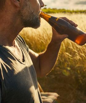 Scientific Link Between Mosquitoes & Sweaty Beer Drinkers