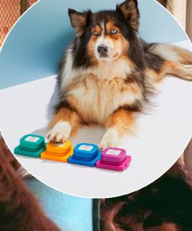 Aldi's Latest Launch Lets Your Best Mate 'Talk' To You
