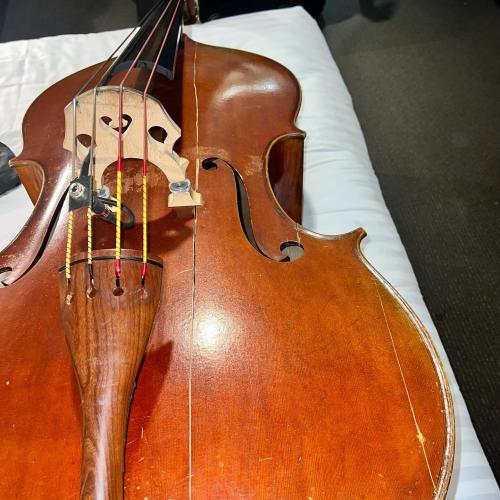 Fringe Muso's Double Bass 'Smashed Beyond Repair' During Flight To Perth