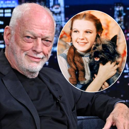 David Gilmour Addresses 'Dark Side Of The Moon' & 'Wizard Of Oz' Theory